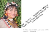 História indígena e o povo terena em ms