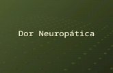 Dor NeuropáTica