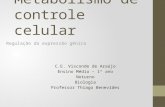 Metabolismo de controle celular