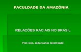 Cap 15 relações raciais no brasil