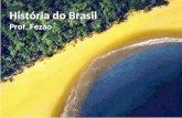 Aula 1 - História do Brasil - Prof. Fezão