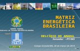 Delcídio do Amaral - UFMS - Matriz Energética Brasileira