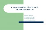 Linguagem, língua e variabilidade versão resumida