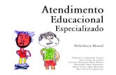 Atendimento Educacional Especializado - Deficiência Intelectual (Mental)