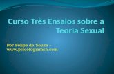 Curso Três Ensaios sobre a Teoria Sexual -  Ensaio 3 - As Transformacoes da Puberdade