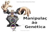 Manipulação genética