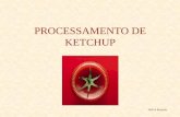 Presentation ketchup