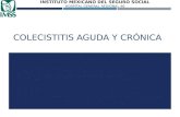 Colecistitis aguda y cronica. fisiopatologia