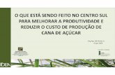 Seminário stab 2013   agrícola - 17. o que está sendo feito no centro sul para reduzir o custo da produção e melhorar a produtividade dos canaviais - dib nunes (grupo idea)