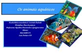 Os animais aquáticos