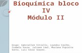 Bioquímica bloco iv - Módulo 2