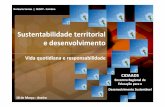 Painel I - Sustentabilidade Territorial e Desenvolvimento – Norberto Santos (Universidade de Coimbra)