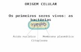A1 origem-organização-celular