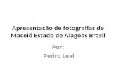 ApresentaçãO De Fotografias De Maceió Estado De Alagoas