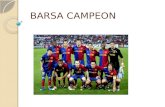 Barsa Campeon