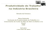 Produtividade na indústria brasileira - Renato da Fonseca