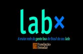 Manual do Participante Lab X