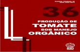 36 tomate orgânico