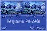 PEQUENA PARCELA - CHICO XAVIER