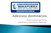 Adesivos odontológicos e fatores de contração 2012 1