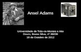 Ansel adams - História das Artes Visuais e Contemporâneas