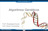 Introdução aos Algoritmos Genéticos