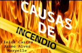Incêndio - Causas de Incêndio / Jaime Alves