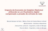 Impacto de Economia de Oxigênio Medicinal utilizando-se um Fluxômetro digital compensado a pressão de entrada de rede