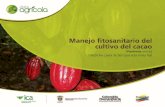 Cartilla cacao fito-sanitario ica