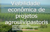 Viabilidade economica de projetos agrossilvipastoris montes claros 2010