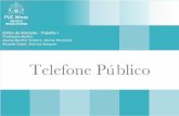 Telefone Publico - Sob a ótica do Design de Interação