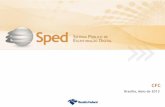 Projeto SPED - Infraestrutura atual, volumes de processamento, etc. 07.05.2013