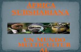 Africa subsahariana