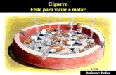 8. cigarro   2011 com exercícios