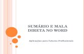 Word sumario mala_direta
