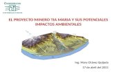 Proyecto Minero Tía María, componentes y potenciales impactoss