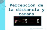 percepcion de la distancia y el tamaño
