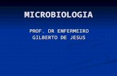 Aula de  microbiologia Prof. Gilberto de Jesus