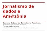 Jornalismo de dados e amazônia
