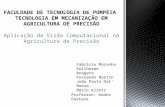 Aplicações de visão computacional em agricultura de precisão - Grupo 6