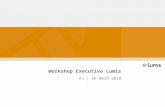 Apresentação Case Eletrobras - Workshop Lumis | Maio/2010