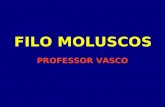 Filo Moluscos (Aula Power Point)
