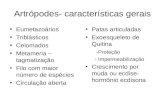 ArtróPodes  CaracteríSticas Gerais