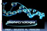 Apresentação da aula de biotecnologia