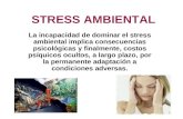 Stress Ambiental