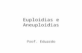 Euploidias  e aneuploidias