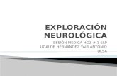 Exploración neurológica