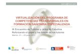 Virtualización del programa de competencias transversales en formación
