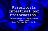 Urp Pediatria Protozoos 2009a