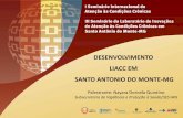 Desenvolvimento do Liacc em Santo Antonio do Monte-MG